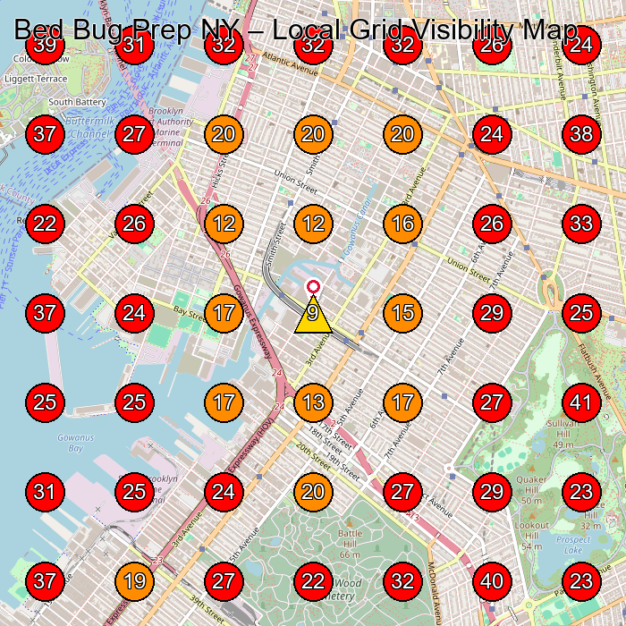 Bed Bug Prep NY GeoGrid visibility map for House Cleaning Service in Brooklyn